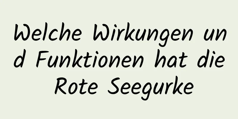 Welche Wirkungen und Funktionen hat die Rote Seegurke