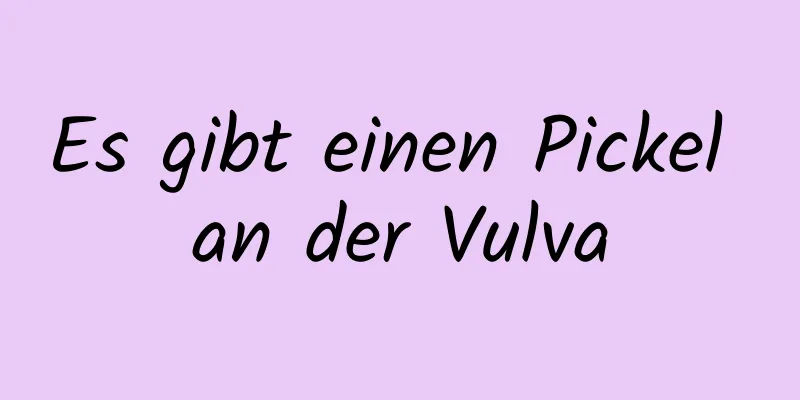 Es gibt einen Pickel an der Vulva