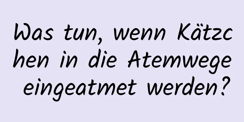 Was tun, wenn Kätzchen in die Atemwege eingeatmet werden?