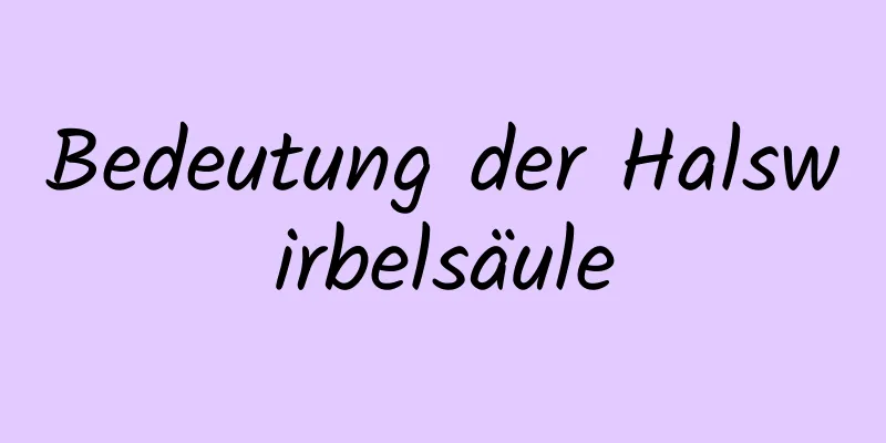 Bedeutung der Halswirbelsäule