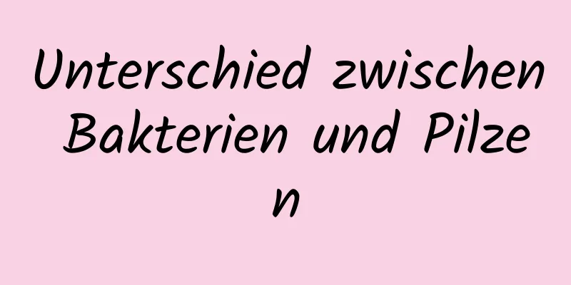 Unterschied zwischen Bakterien und Pilzen