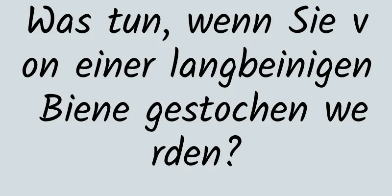 Was tun, wenn Sie von einer langbeinigen Biene gestochen werden?