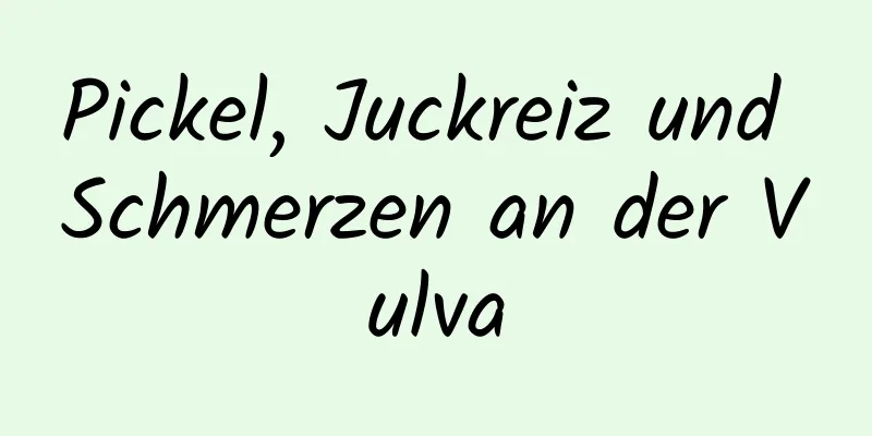 Pickel, Juckreiz und Schmerzen an der Vulva