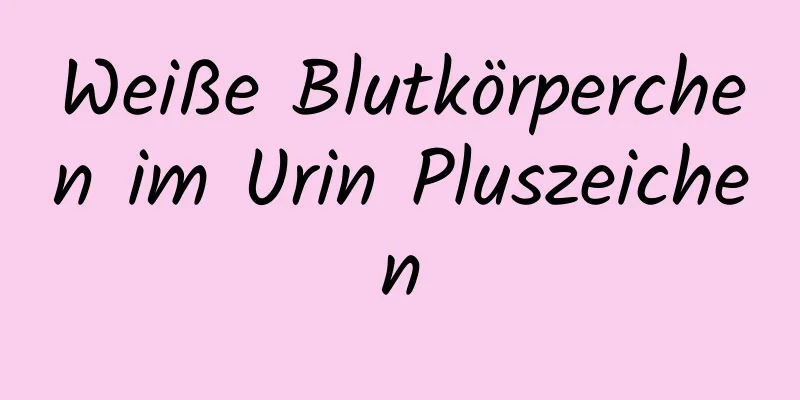 Weiße Blutkörperchen im Urin Pluszeichen