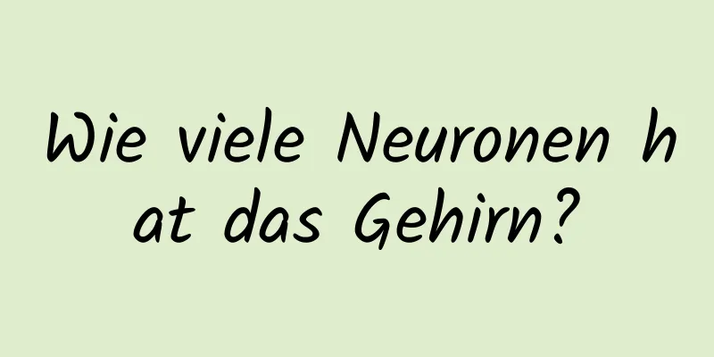 Wie viele Neuronen hat das Gehirn?