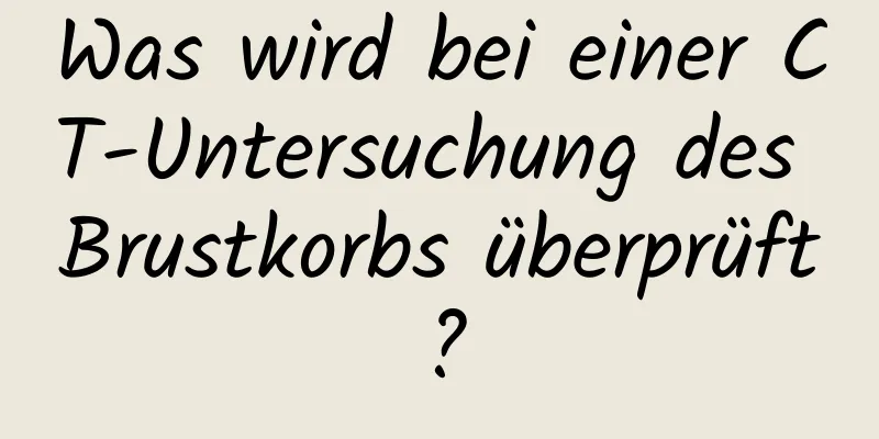 Was wird bei einer CT-Untersuchung des Brustkorbs überprüft?