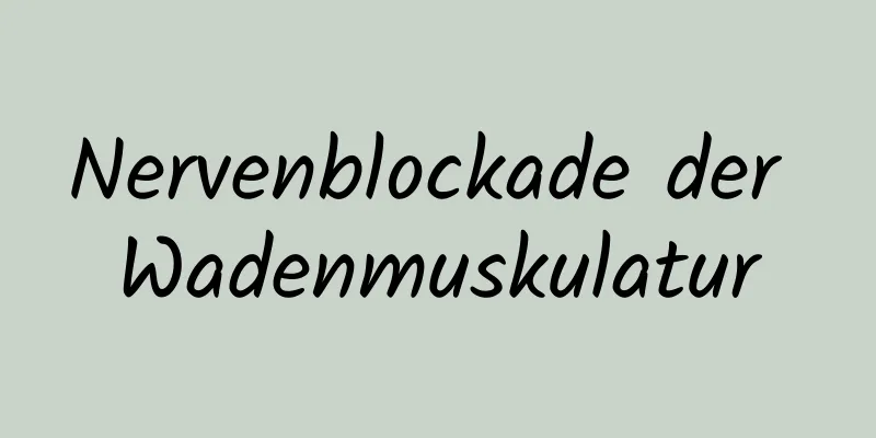 Nervenblockade der Wadenmuskulatur