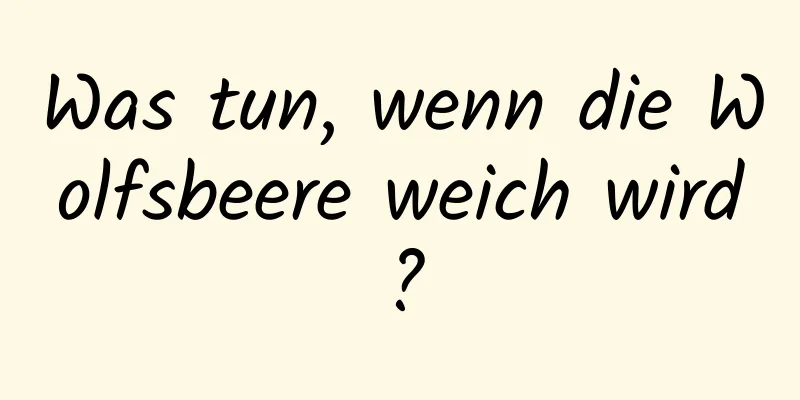 Was tun, wenn die Wolfsbeere weich wird?