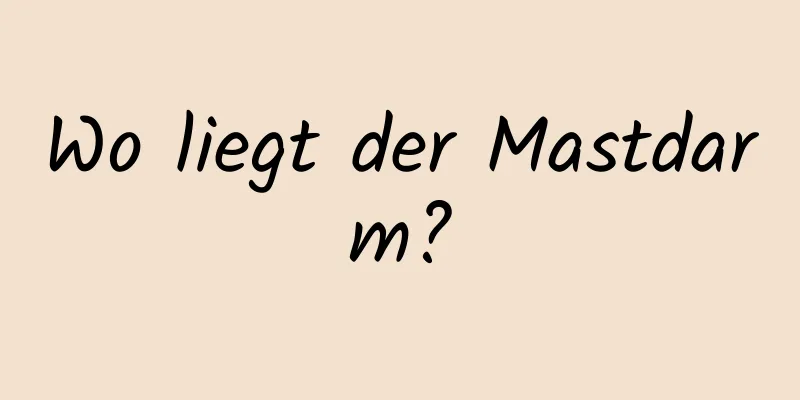 Wo liegt der Mastdarm?