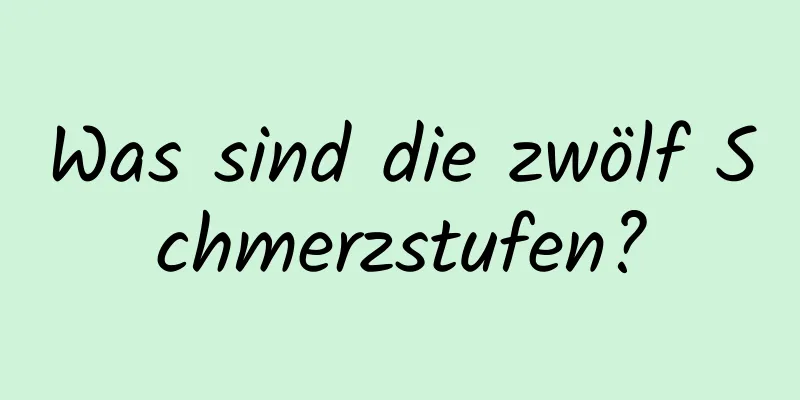 Was sind die zwölf Schmerzstufen?