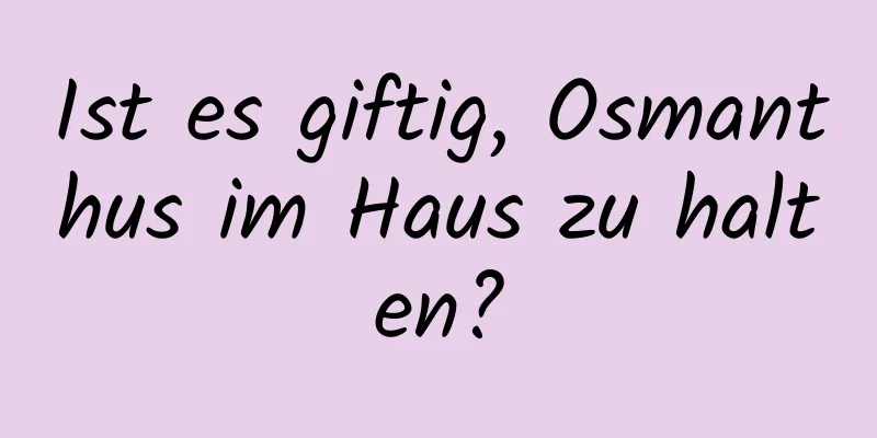 Ist es giftig, Osmanthus im Haus zu halten?