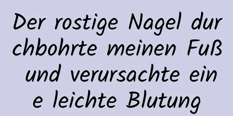 Der rostige Nagel durchbohrte meinen Fuß und verursachte eine leichte Blutung