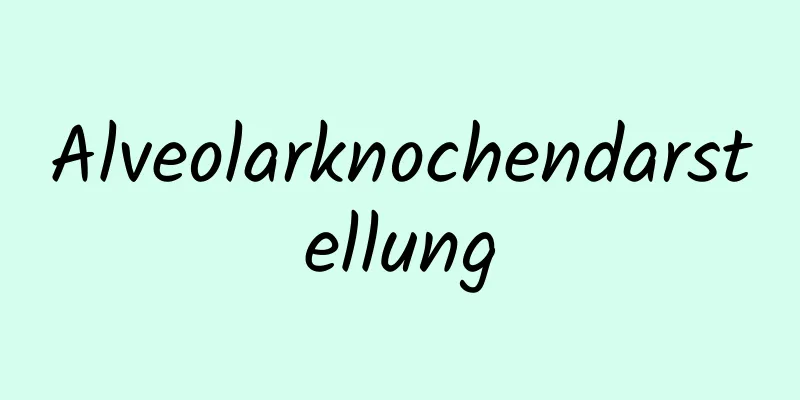 Alveolarknochendarstellung