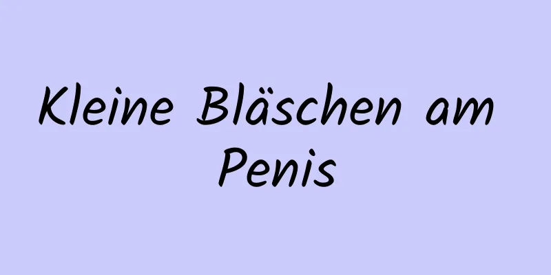 Kleine Bläschen am Penis