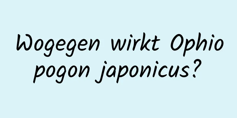 Wogegen wirkt Ophiopogon japonicus?