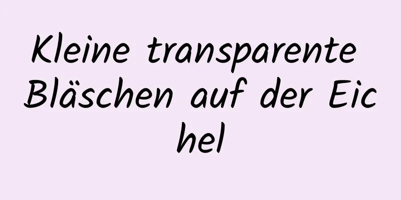 Kleine transparente Bläschen auf der Eichel