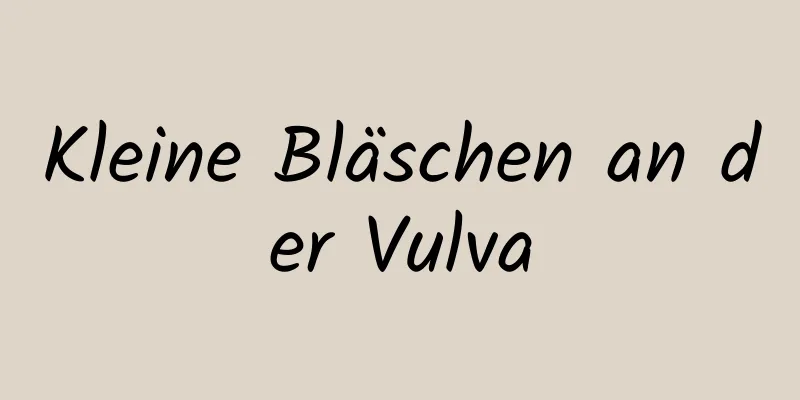 Kleine Bläschen an der Vulva