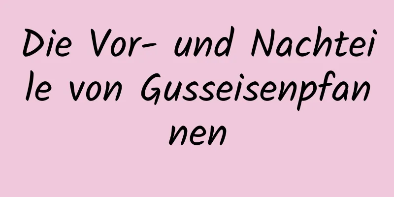 Die Vor- und Nachteile von Gusseisenpfannen