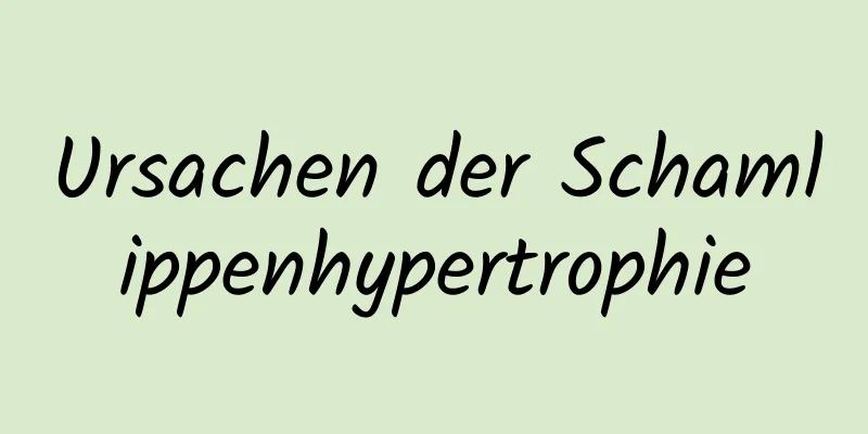 Ursachen der Schamlippenhypertrophie