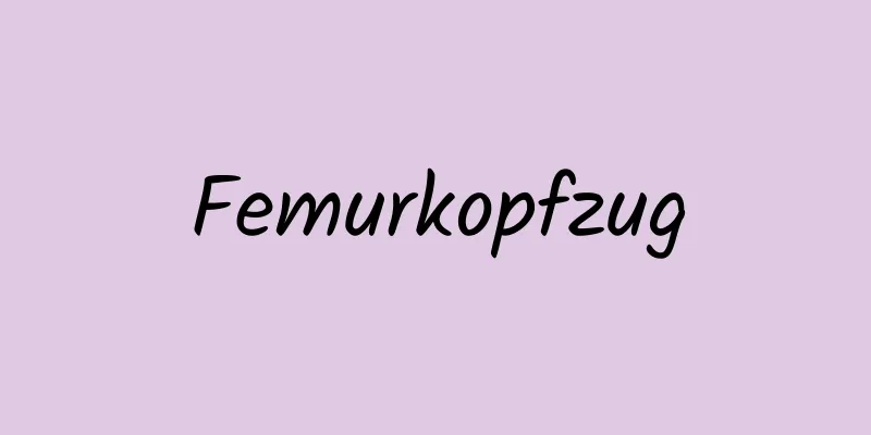 Femurkopfzug