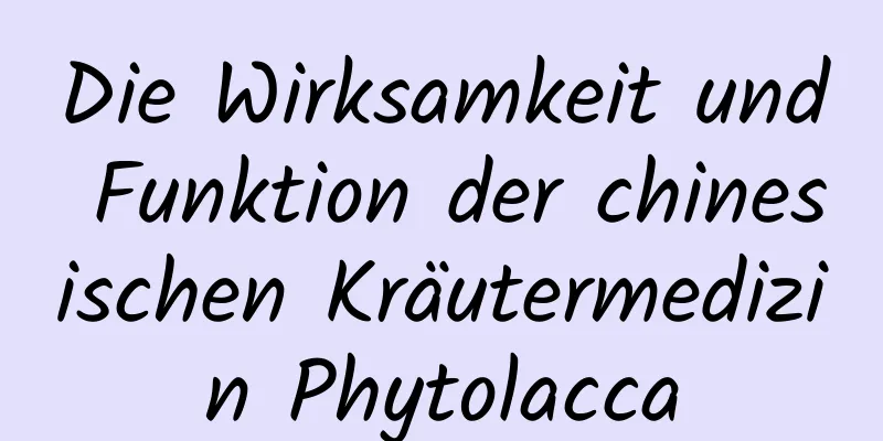 Die Wirksamkeit und Funktion der chinesischen Kräutermedizin Phytolacca