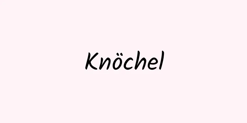 Knöchel