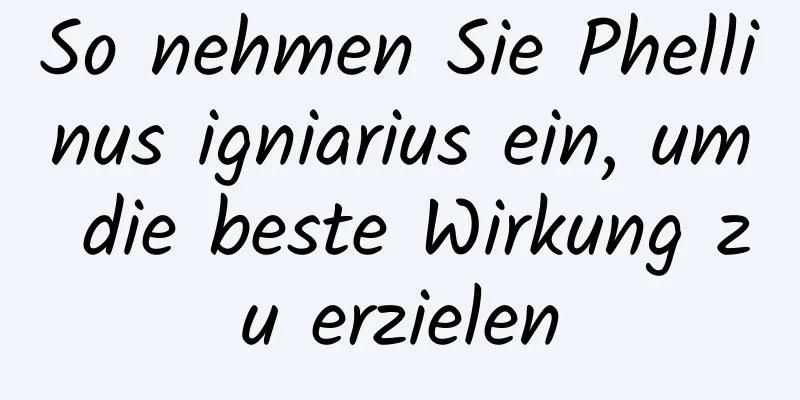 So nehmen Sie Phellinus igniarius ein, um die beste Wirkung zu erzielen