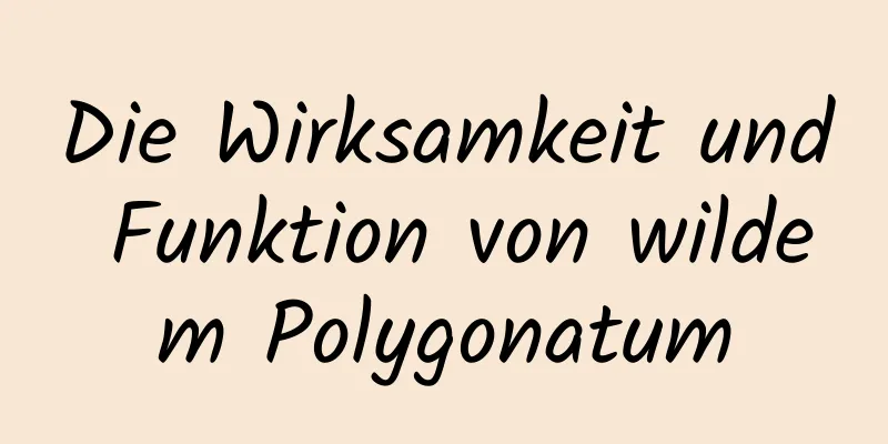 Die Wirksamkeit und Funktion von wildem Polygonatum