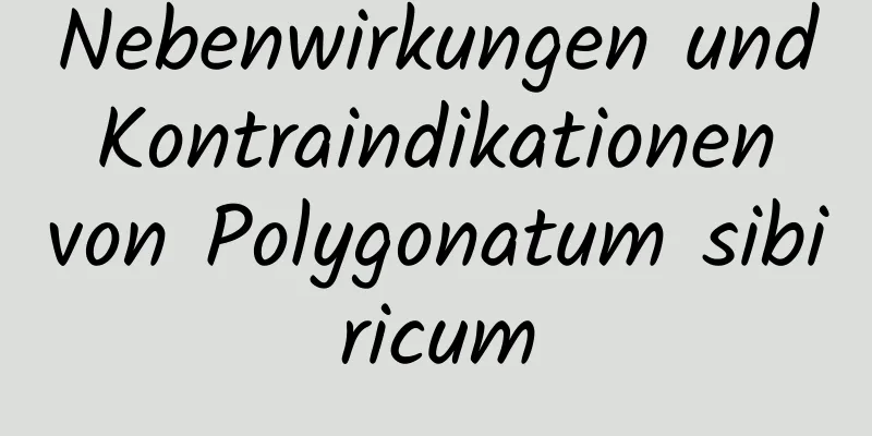 Nebenwirkungen und Kontraindikationen von Polygonatum sibiricum