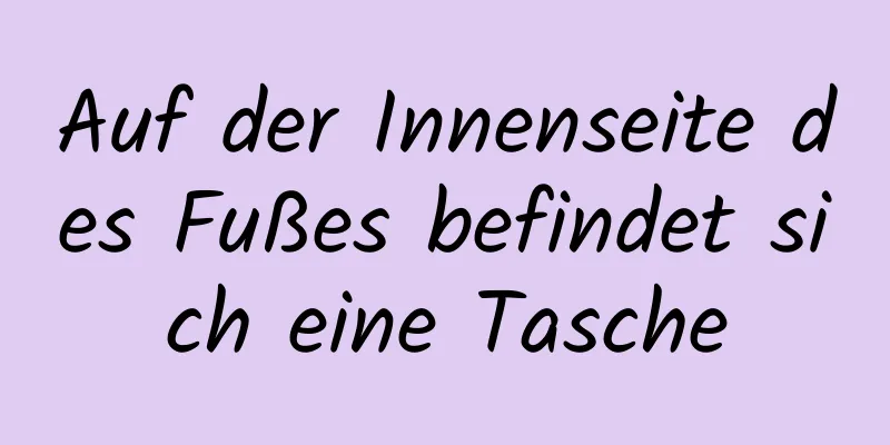 Auf der Innenseite des Fußes befindet sich eine Tasche