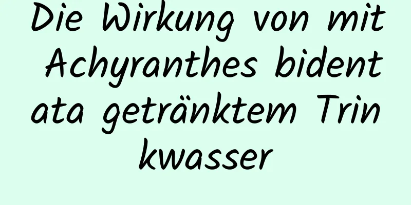 Die Wirkung von mit Achyranthes bidentata getränktem Trinkwasser