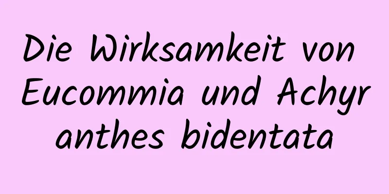 Die Wirksamkeit von Eucommia und Achyranthes bidentata