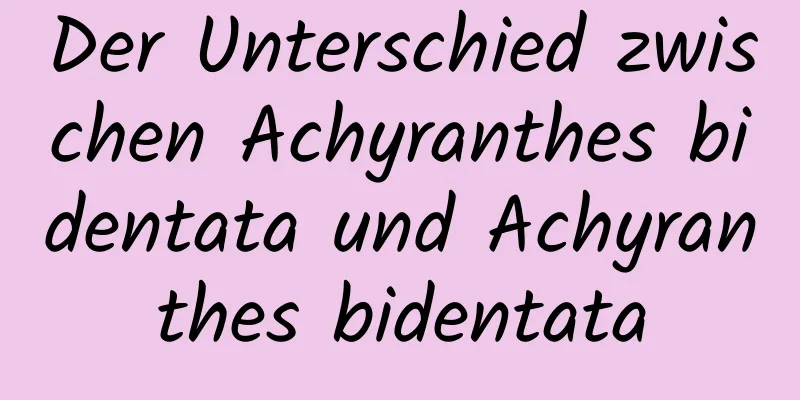 Der Unterschied zwischen Achyranthes bidentata und Achyranthes bidentata