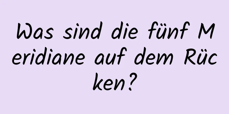 Was sind die fünf Meridiane auf dem Rücken?