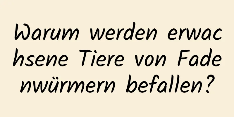 Warum werden erwachsene Tiere von Fadenwürmern befallen?