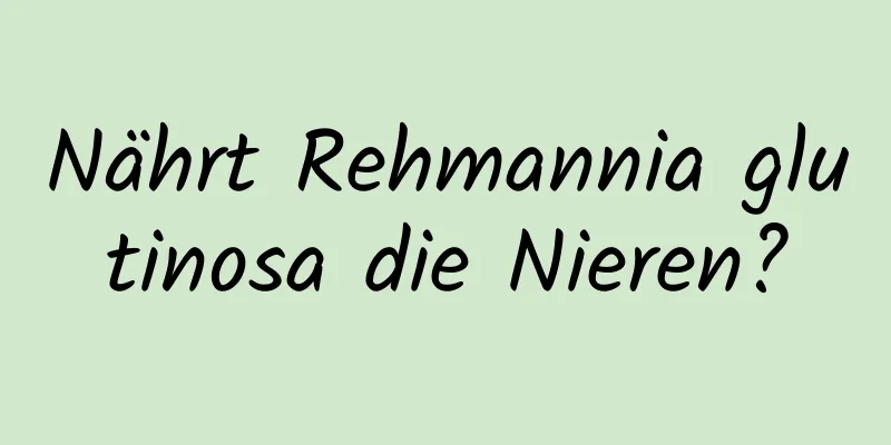 Nährt Rehmannia glutinosa die Nieren?