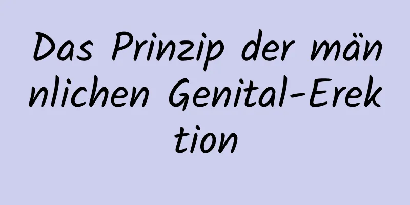 Das Prinzip der männlichen Genital-Erektion