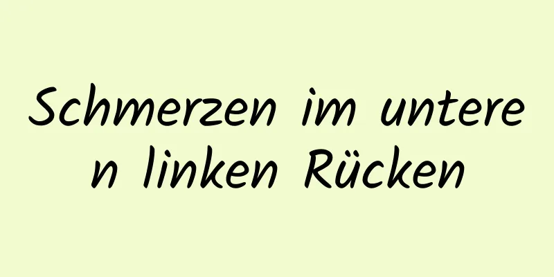 Schmerzen im unteren linken Rücken