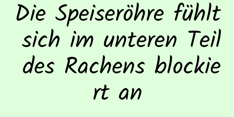 Die Speiseröhre fühlt sich im unteren Teil des Rachens blockiert an