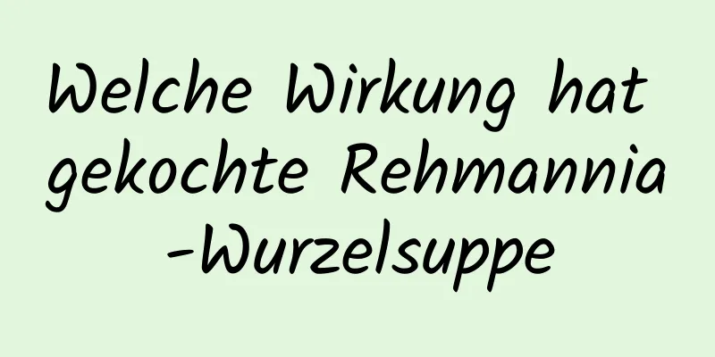 Welche Wirkung hat gekochte Rehmannia-Wurzelsuppe