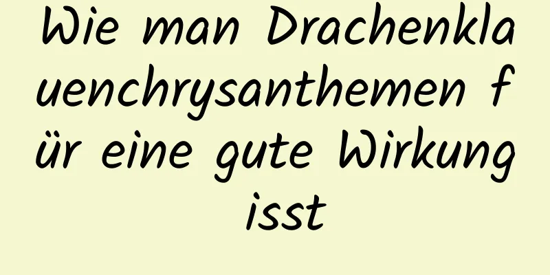 Wie man Drachenklauenchrysanthemen für eine gute Wirkung isst