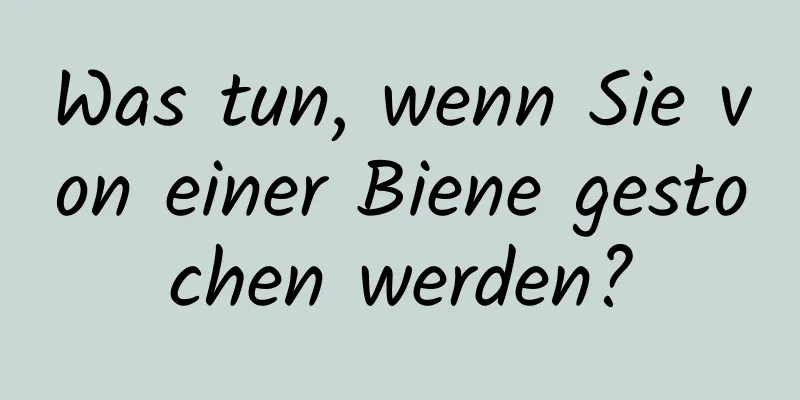 Was tun, wenn Sie von einer Biene gestochen werden?