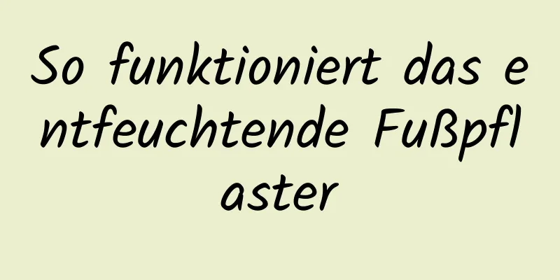 So funktioniert das entfeuchtende Fußpflaster