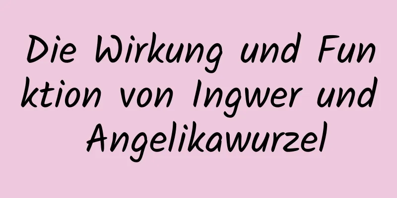 Die Wirkung und Funktion von Ingwer und Angelikawurzel