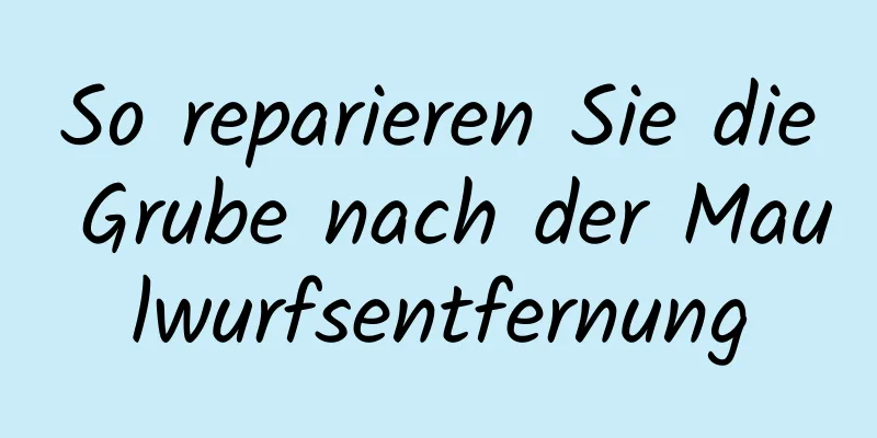 So reparieren Sie die Grube nach der Maulwurfsentfernung