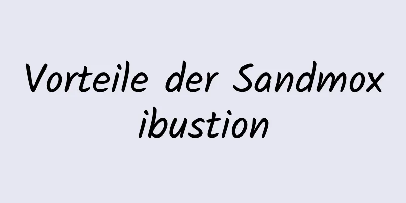 Vorteile der Sandmoxibustion