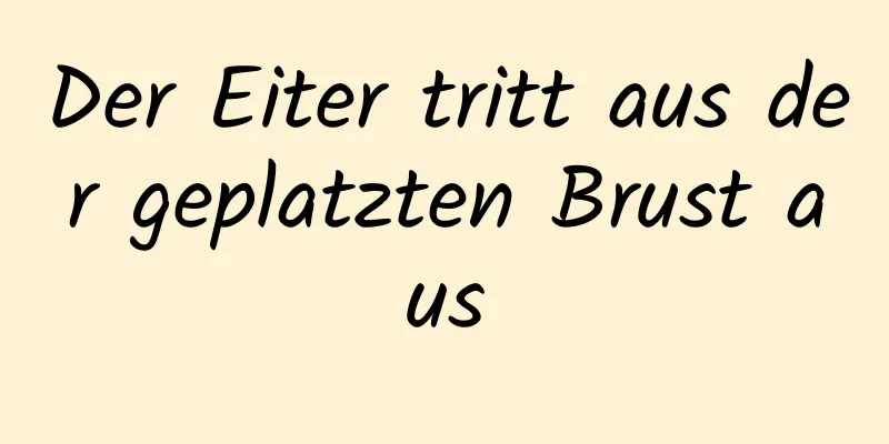 Der Eiter tritt aus der geplatzten Brust aus