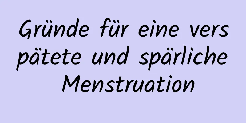 Gründe für eine verspätete und spärliche Menstruation