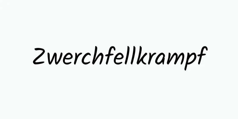 Zwerchfellkrampf