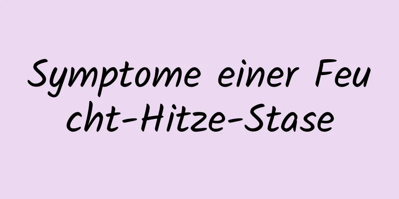 Symptome einer Feucht-Hitze-Stase